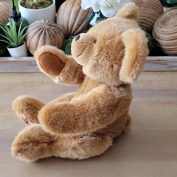 Toys R Us Plush Teddy Bear - Picture 3 of 9